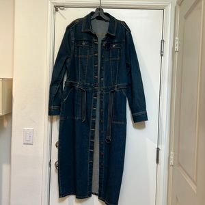 New York & Co denim dress.